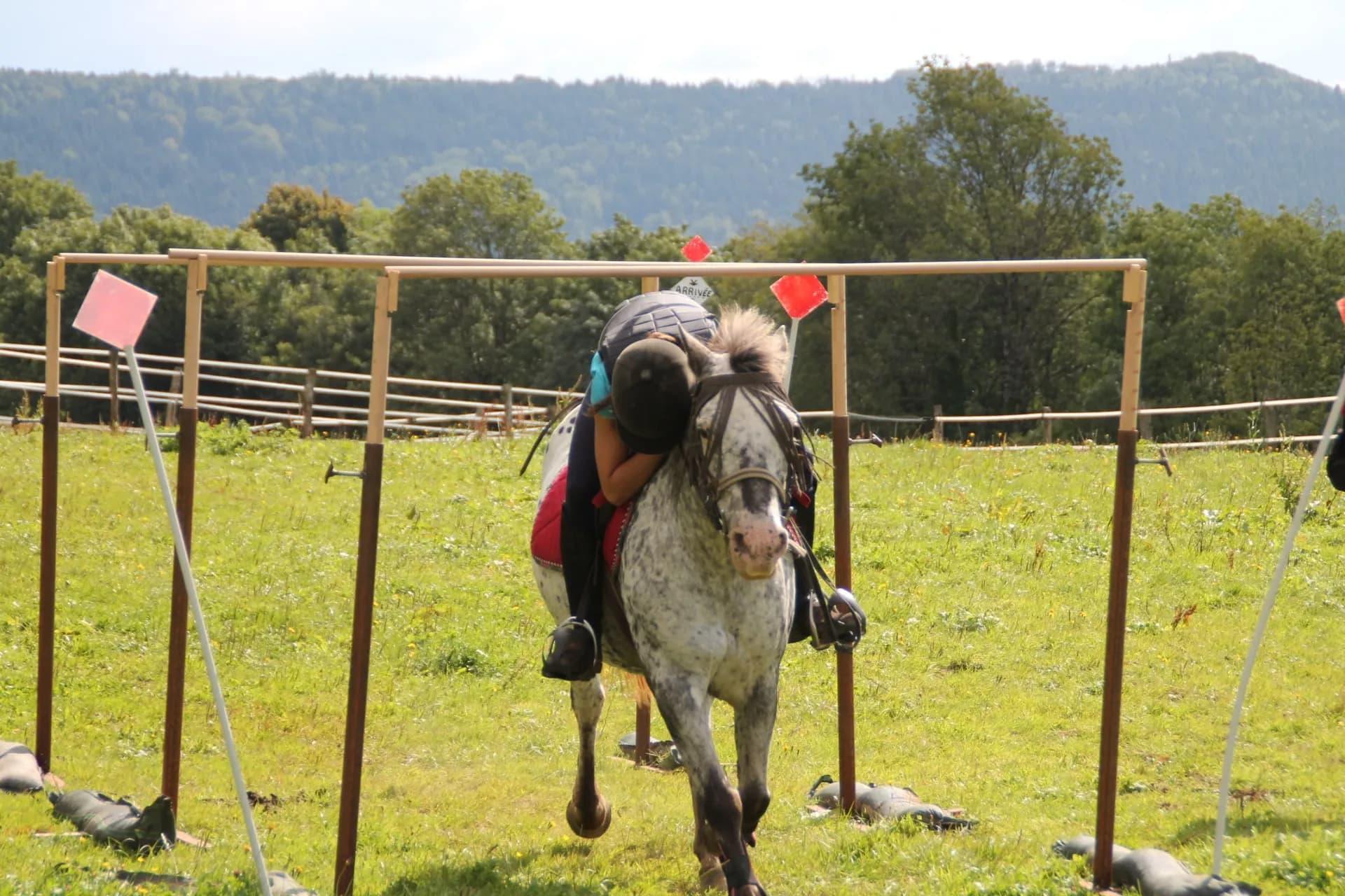 Centre équestre Jura, Cours d'équitation, Balades, Randonnées, Location